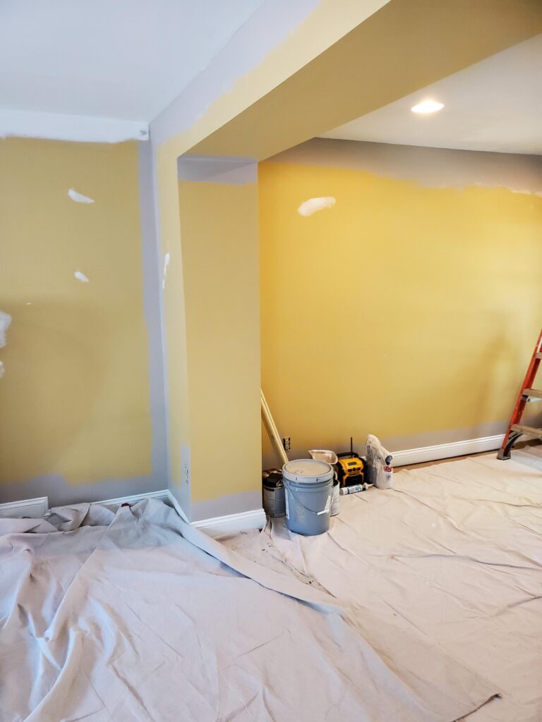 Anderson Township remodel - During - Painting 2