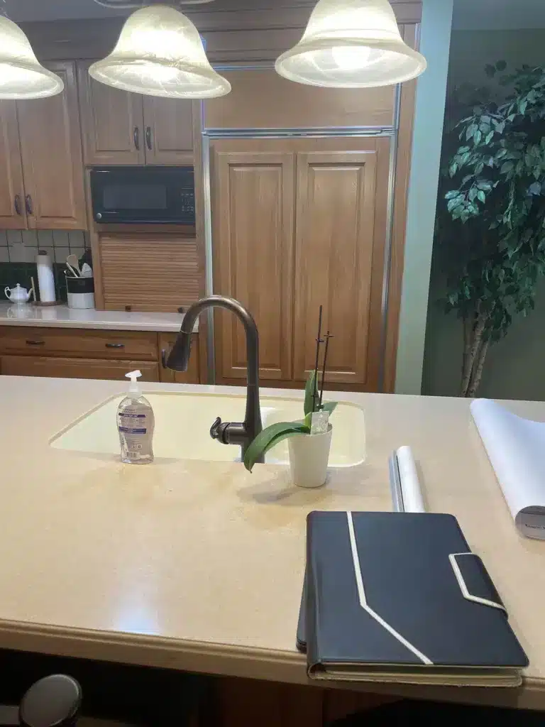 Monroe kitchen remodel - before sink