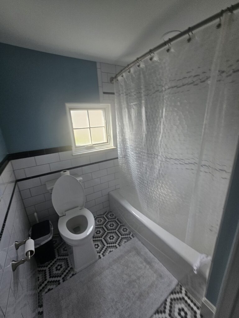 Hyde Park bathroom remodel