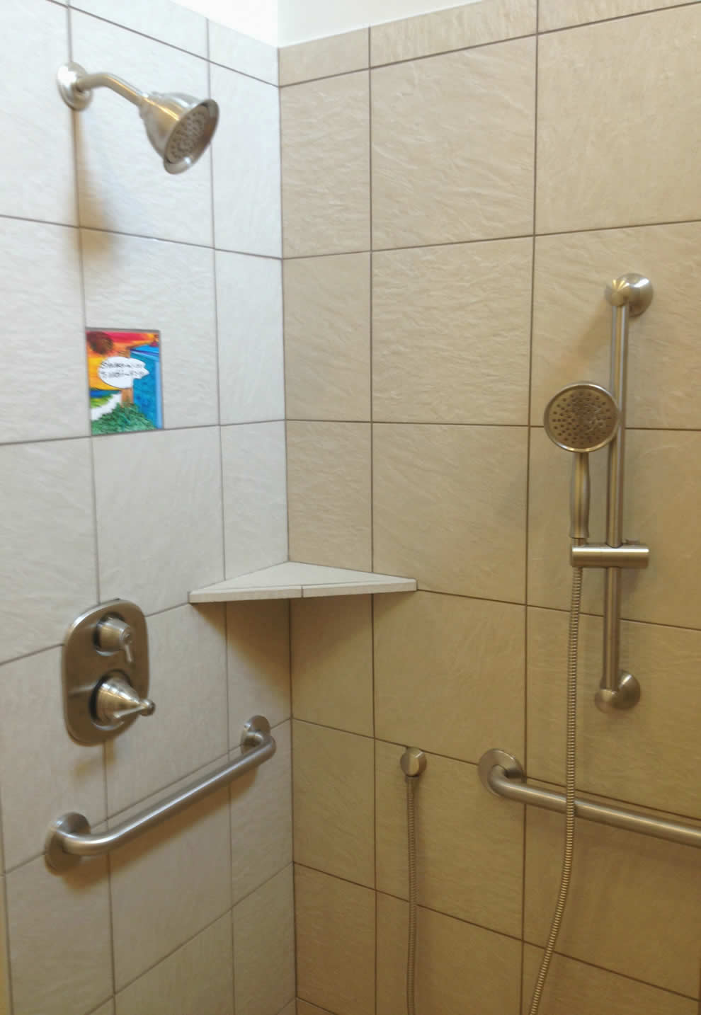 Ripley - Handicap shower